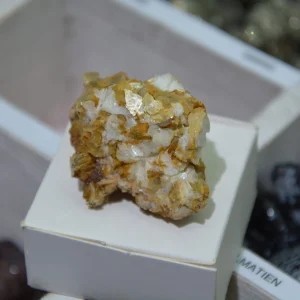 Muscovite