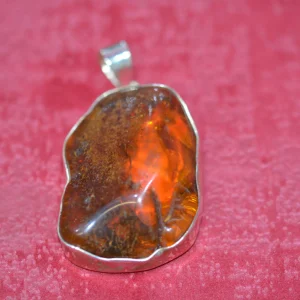 Ambre de la Baltique
