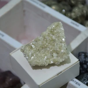 Muscovite