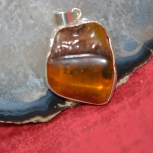 Ambre de la Baltique