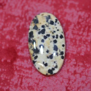 Jaspe Dalmatien Cabochon