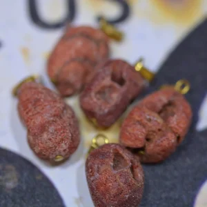 Corail