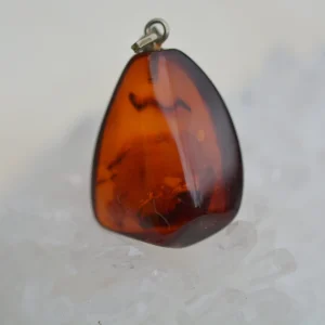 Ambre de la Baltique