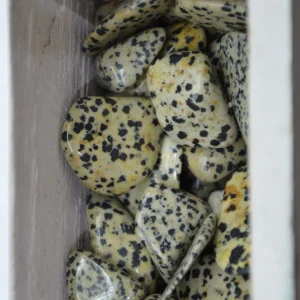 Jaspe Dalmatien