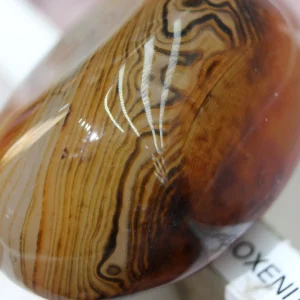 Agate - Sardonyx